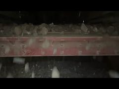 Huatao Rubber Panel Working show in coal plant